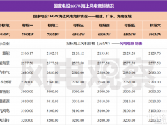 9家整機(jī)商競標(biāo)，最低價(jià)2100元/kW！國家電投16GW海上風(fēng)電機(jī)組集采開標(biāo)！